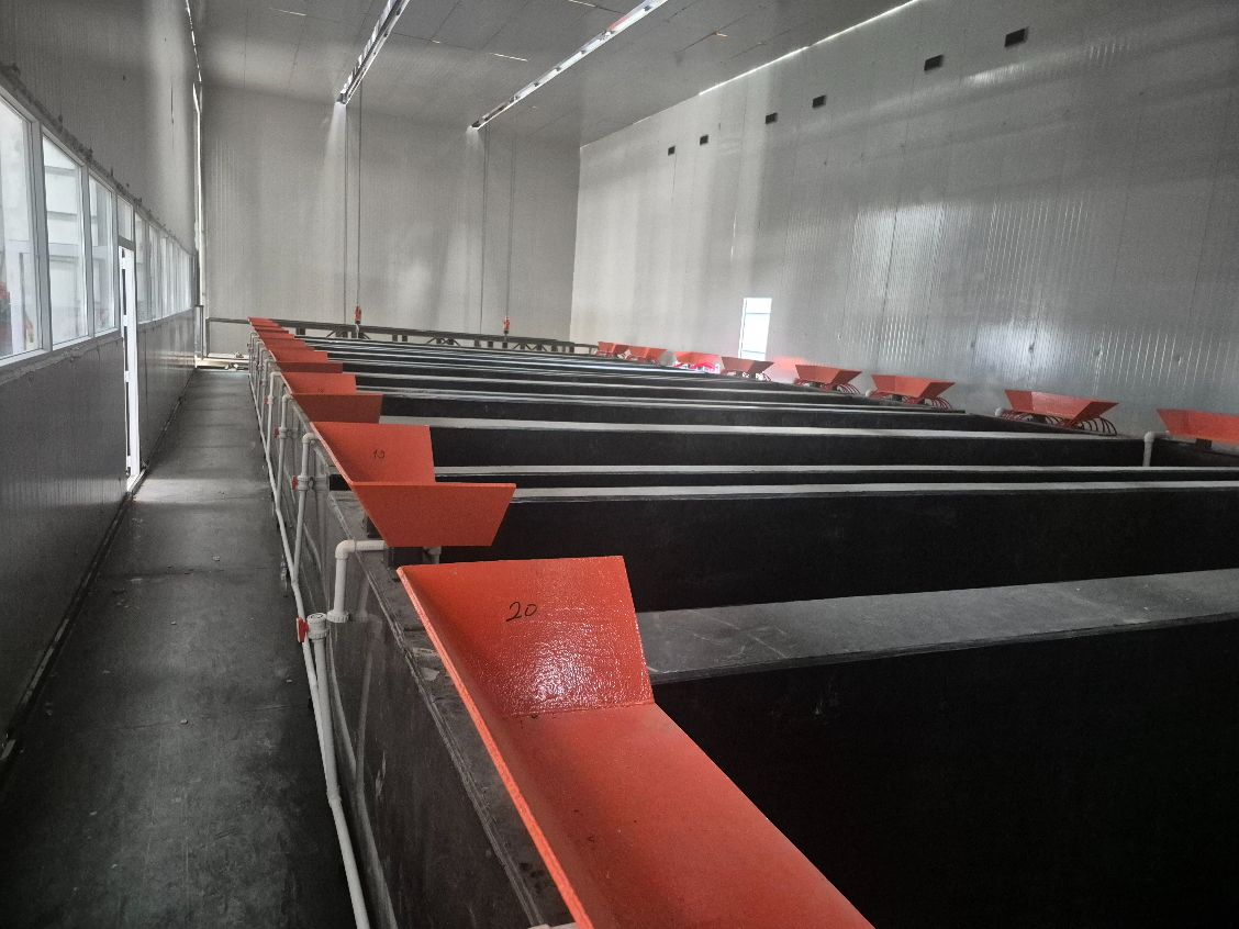 Galvaniz Tesisi Kurulumu